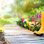 Planera för din sommarträdgård